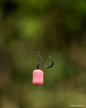 Bas de Ligne FOX Edges Illusion Fluoro D-Rigs