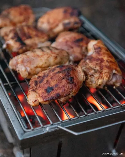 Barbecue FOX Cookware Foldable BBQ