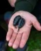 Picture of FOX Edges Swivel Paste Bomb Lead