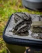 Picture of FOX Edges Swivel Paste Bomb Lead