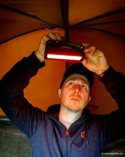 Kit FOX RX+ Light & Remote