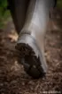 Bild von FOX Neoprengefütterte Angelgummistiefel - Camo/Kaki