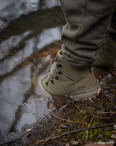Chaussures FOX V2 Boot - Kaki