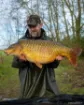 Bild von Poncho FOX Khaki