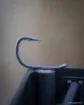 Picture of FOX Wide Gape Straight Hook