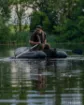Picture of FOX EOS 215 Inflatable Boat