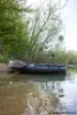 Immagine di Barca pneumatica FOX X Boat 240