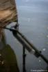 Picture of FOX Carpmaster Net Safe Landing Net Support