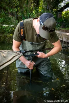 Support d'épuisette FOX Carpmaster Net Safe