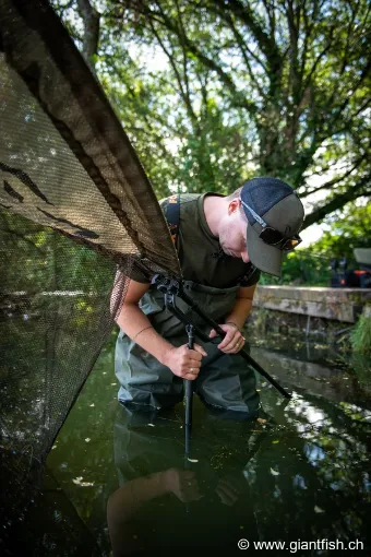 Support d'épuisette FOX Carpmaster Net Safe
