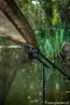 Picture of FOX Carpmaster Net Safe Landing Net Support