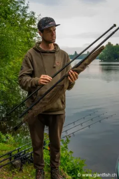 Épuisette FOX Horizon X3-S Net - 8 ft - 42""""