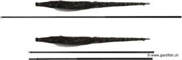 Épuisette FOX Horizon X4-S Net - 8 ft - 42""""