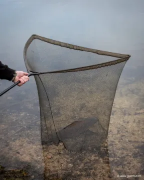 Épuisette FOX EOS-X Landing Net - 6 ft - 42""""