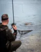 Épuisette FOX EOS-X Landing Net - 6 ft - 42""""