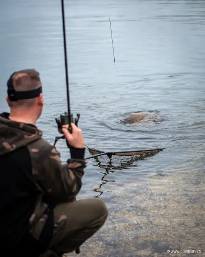 Épuisette FOX EOS-X Landing Net - 6 ft - 42""""