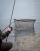 Épuisette FOX EOS-X Landing Net - 6 ft - 46""""