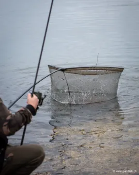 Épuisette FOX EOS-X Landing Net - 6 ft - 46""""