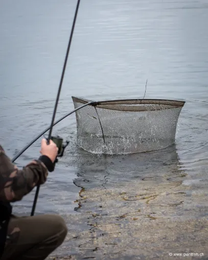 Épuisette FOX EOS-X Landing Net - 6 ft - 46""""