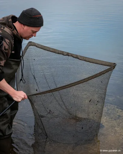 Épuisette FOX EOS-X Landing Net - 6 ft - 46""""