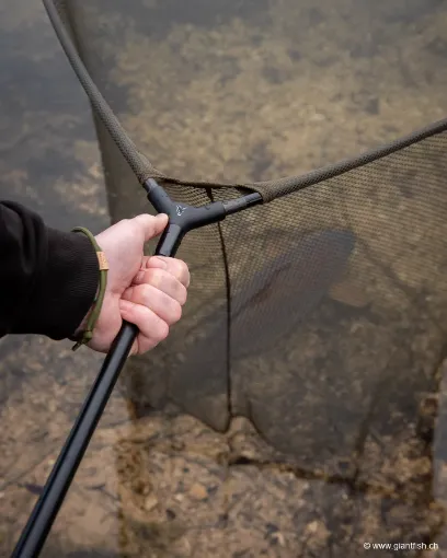 Épuisette FOX EOS-X Landing Net - 6 ft - 46""""