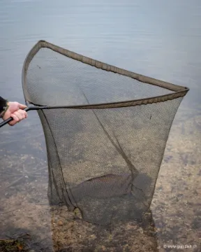Filet de rechange FOX EOS-X Landing Net Mesh