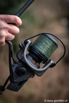 Tête de Ligne FOX Exocet Pro Tapered Leader