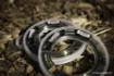 Immagine di Finale Conico FOX Exocet Pro Tapered Leader