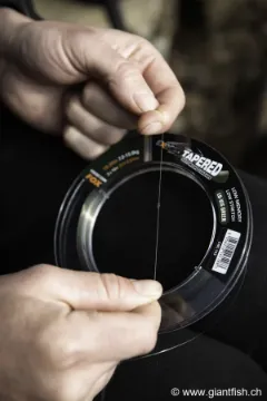 Tête de Ligne FOX Exocet Pro Tapered Leader