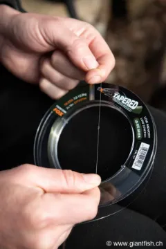 Tête de Ligne FOX Exocet Pro Tapered Leader