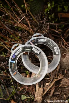 Tête de Ligne FOX Exocet Pro Tapered Leader