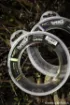 Immagine di Finale Conico FOX Exocet Pro Tapered Leader