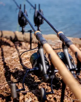 Canne Carpe FOX Horizon X3-S - Shrink Handle - 10 ft - 3 lbs