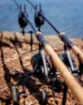 Immagine di Canna da Carpa FOX Horizon X3-S - Shrink Handle - 10 ft - 3.5 lbs