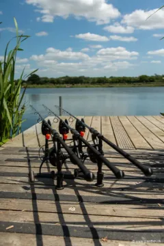 Canne Carpe FOX Horizon X4-S - Full Shrink - 12 ft - 3 lbs