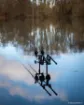 Immagine di Canna da Carpa FOX EOS X - Full Shrink - 10 ft - 3.5 lbs