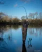Immagine di Canna da Carpa FOX EOS X - Full Shrink - 10 ft - 3.5 lbs