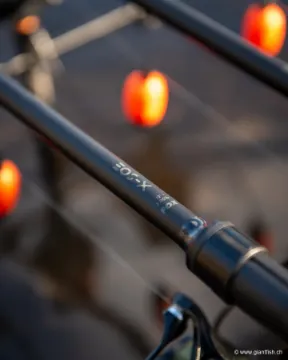 Canne Carpe FOX EOS X - Full Shrink - 12 ft - 3.25 lbs