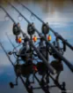 Immagine di Canna da Carpa FOX EOS X - Full Shrink - 12 ft - 3.25 lbs