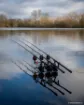 Picture of Carp Rod FOX EOS X - Full Shrink - 12 ft - 3.5 lbs