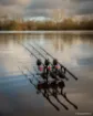 Picture of Carp Rod FOX EOS X - Full Shrink - 12 ft - 3.5 lbs