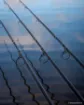 Picture of Carp Rod FOX EOS X - Full Shrink - 12 ft - 3.5 lbs