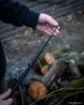 Bild von Teleskopische Karpfenrute FOX EOS X