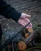 Bild von Teleskopische Karpfenrute FOX EOS X