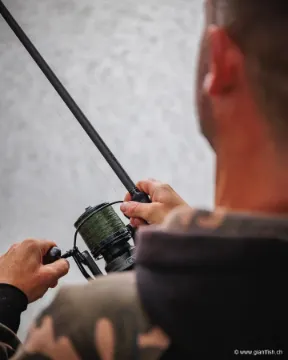 Canne Carpe FOX Horizon X5 Black - 12 ft - 3.25 lbs