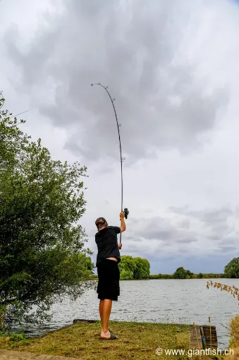 Canne Carpe FOX Horizon X5 Black - 12 ft - 3.5 lbs