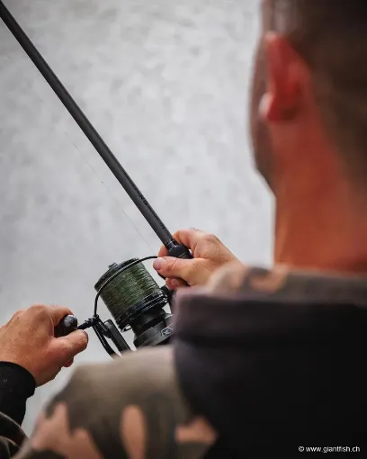 Canne Carpe FOX Horizon X5 Black - 12 ft - 4 lbs