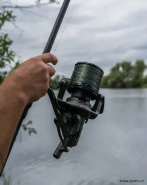 Moulinet Carpe FOX 14000 XC Reel