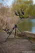 Immagine di Supporto canne FOX EOS 2 & 3 Rod Tri-Pod