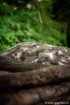 Image de Oreiller FOX Camolite Pillow